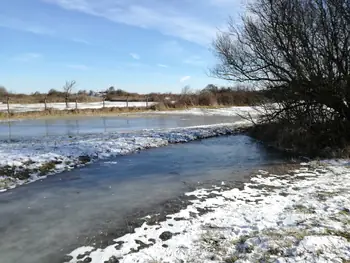 De Panne in de sneeuw (België)